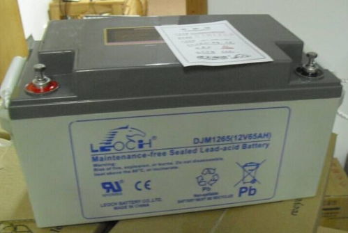 濰坊理士蓄電池12V65AH質(zhì)優(yōu)價(jià)廉