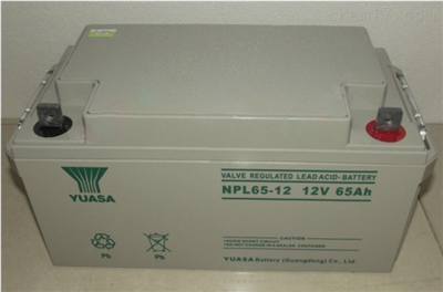 聯(lián)系電話18902067569 嘉峪關(guān)湯淺蓄電池NP65-12點(diǎn)擊報(bào)價(jià)_電子電工儀器_電源設(shè)備_電池_產(chǎn)品庫_中國(guó)化工儀器網(wǎng)